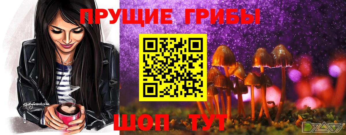 Избербаш  Псилоцибиновые грибы GOLDEN TEACHER  Вход с VPN 